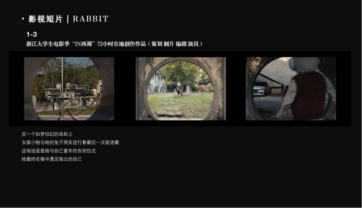 RABBIT项目图版